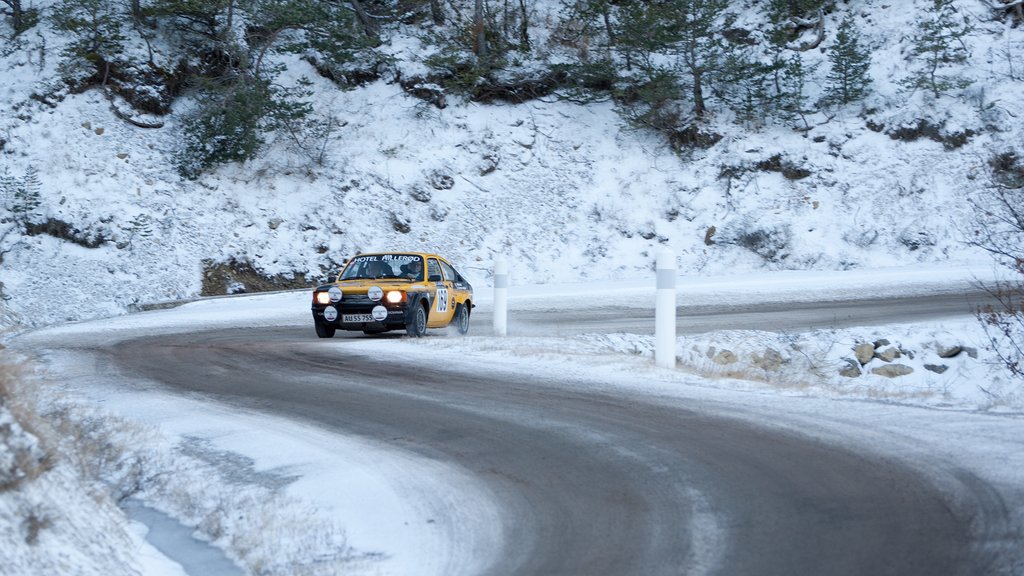Per Vilslev og Erik Andersen kørgte en perfekt etape, og sluttede dag 5 med at avancere 30-40 pladser
(Foto: Viggo Johansen, rallypics.dk)